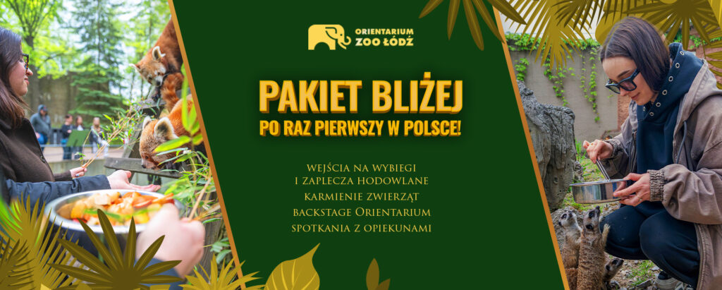 PAKIET BLIZEJ w ORIENTARIUM ZOO LODZ